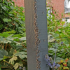 Nuptial Flight