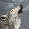 moonlight magnetism