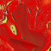 Vertinax