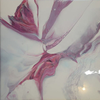Folded wings (wet)