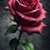 The Rose of Rain 9