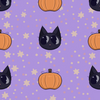 Black Cat and Pumpkin Pattern