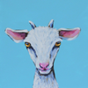 Little Goat