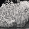 The Komondor