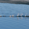 can you run on water ?
