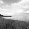 black and white 300