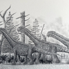 A Camarasaurus Migration 