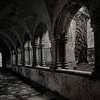 Muckross Abbey 2