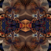 1892711007 mirror25