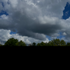 View recent photos 538