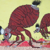 Fleas