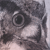 Owl charcoal