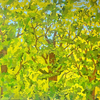 TREES TOO. $150.00