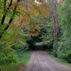 FALL BEGINNING EARLY
