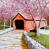Sleepy Hollow Covered Bridge #2