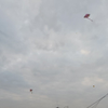 Kites Flying