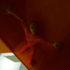 Series 17 (2)