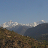 Chaukhamba