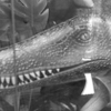 20260616 104014 HDR