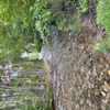 IMG 0328