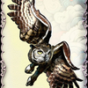 1b--Owl Patrols