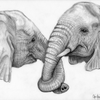 Drawings