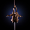 Suspended Silence