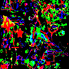 Untitled-Stitched-0 1