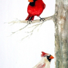 Cardinal Pair