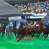 Racecourse spectacle