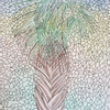 Palm Tree
