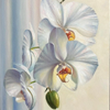 White Orchids