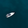Birds Eye