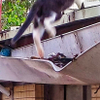 an escaper