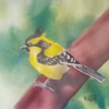 bird1