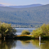 Montana summer