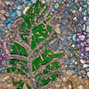 Glass Leaf