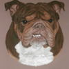 Barry 