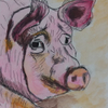 Farm Animal Series-Pig