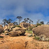 Boulders and trees on the top of the Wave Rock in Hyden, Western Australia