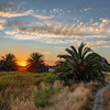 Dawn on the Switchyard Trail - August 23  2025