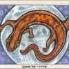 Salamander Moon ACEO