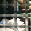 115272 mirror55