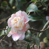 22 01 01 leu garden-54