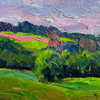 Summer meadows and forests