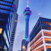 6:33 AM Auckland Time