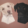 Baxter and Jaspar