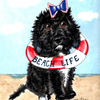 Beach Life Dog 