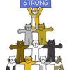 Stay Strong Cats