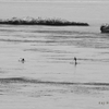 Shell Beach California 